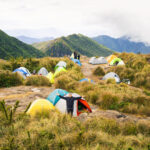 BoraLaViverTour-10 2